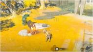 You will see a Friendly Construct (Image via The Legend of Zelda Tears of The Kingdom)